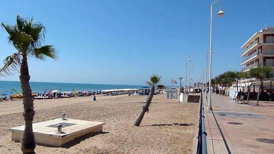 Apartamento Bajo 1 Marjal Playa Centro De Guardamar Guardamar del Segura Esterno foto
